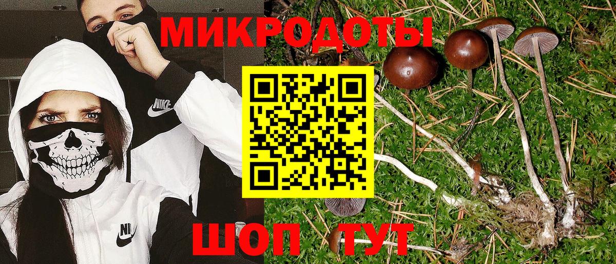 где купить наркотик  Псилоцибиновые грибы GOLDEN TEACHER  Вход с VPN  Хасавюрт  Галлюциногенные грибы мицелий 