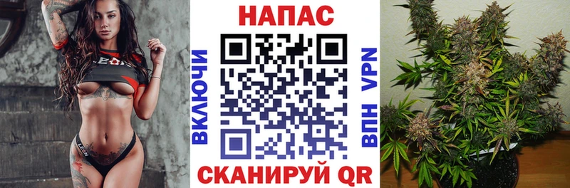 купить закладку  Хасавюрт  Канабис план 